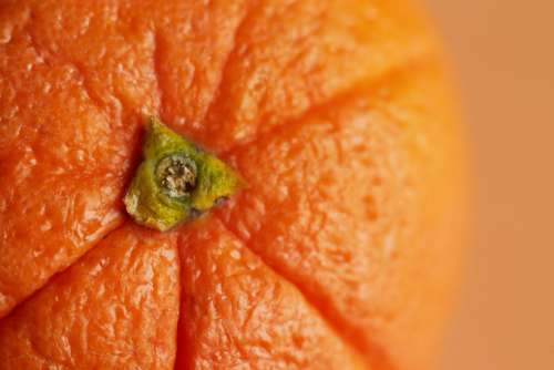 orange fruit macro texture food