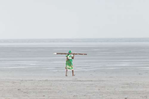 Woman Carrying Log On Beach In India Photo