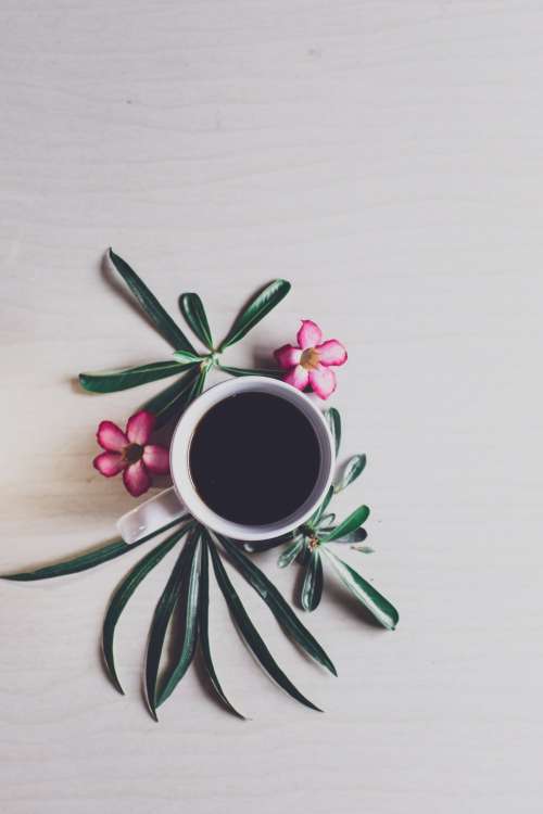 Black Coffee Surrounded By Flowers Photo