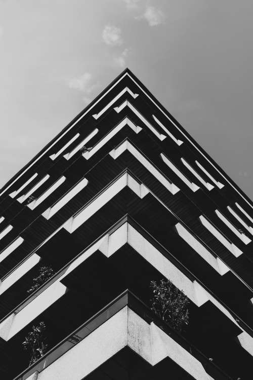 Symmetrical Building In Monochrome Photo