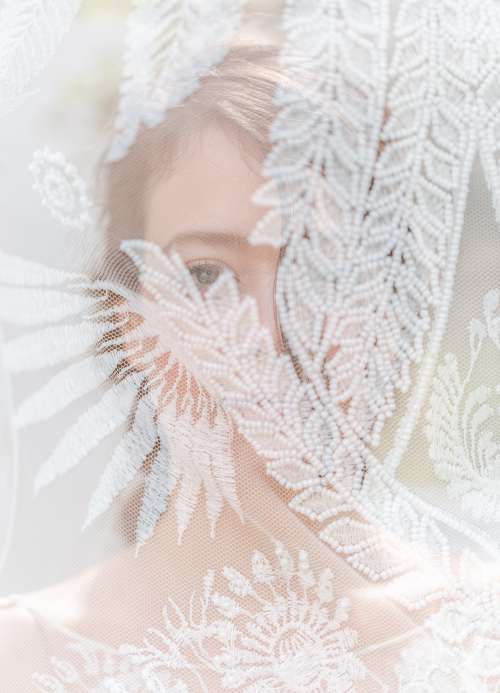 Bride Peeks Through Lace Veil Photo