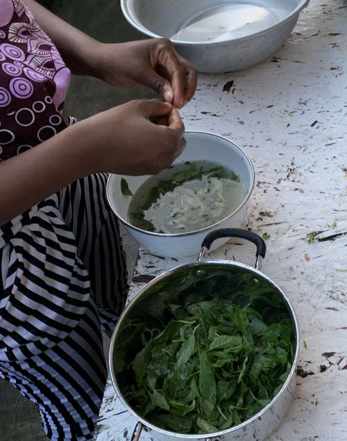 saucepan, sheet okra, food, woman, sticky sauce, bowls, water, kitchen, cooking, kitchenware, flatware, diet