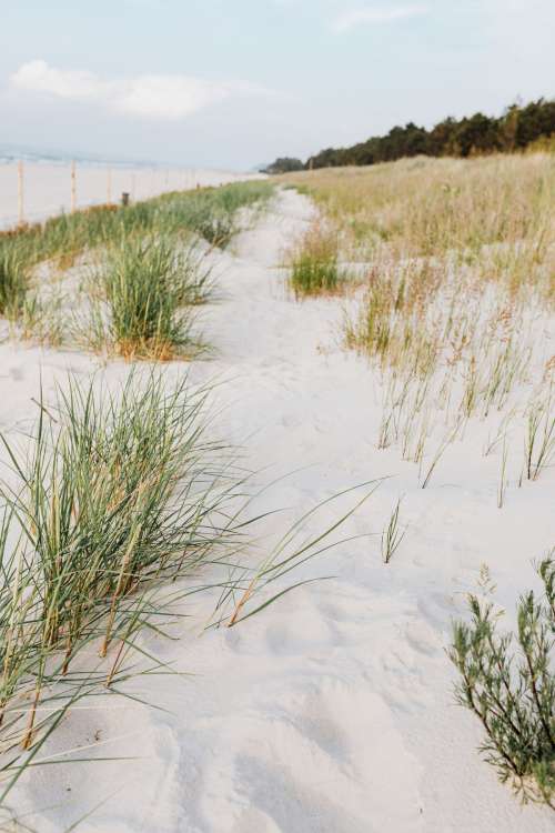 Baltic Sea Backgrounds