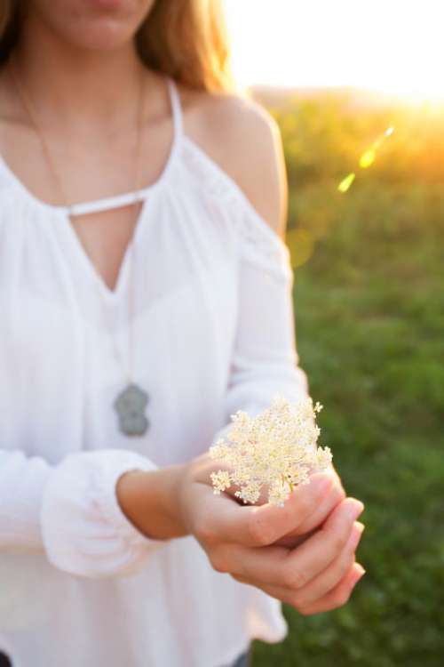 Woman Flowers Free Photo