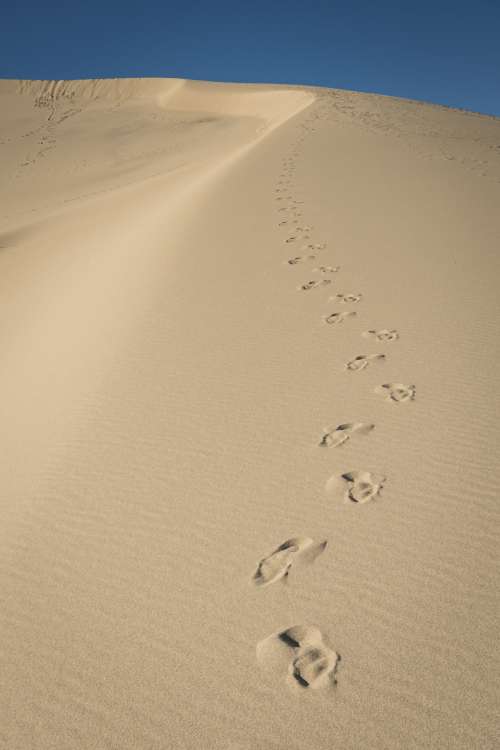 Abandoned Footsteps Along A Dune Photo