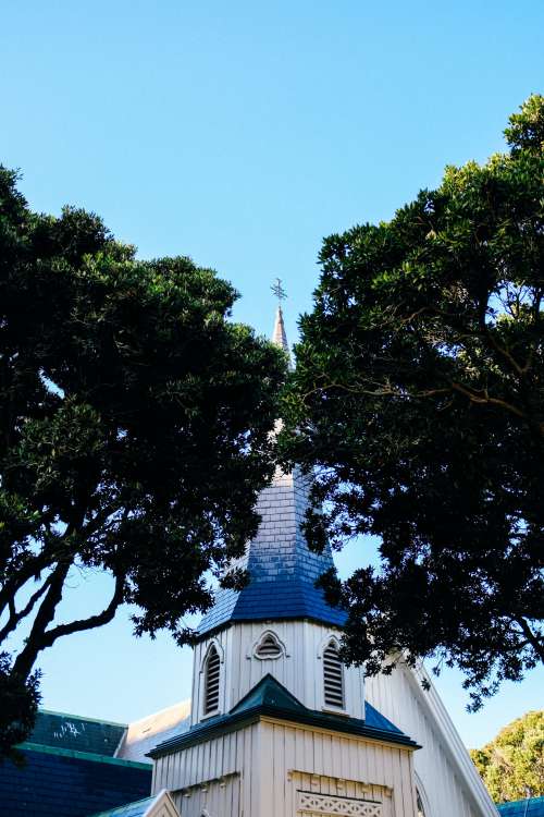Church Spire Between Two Trees Photo