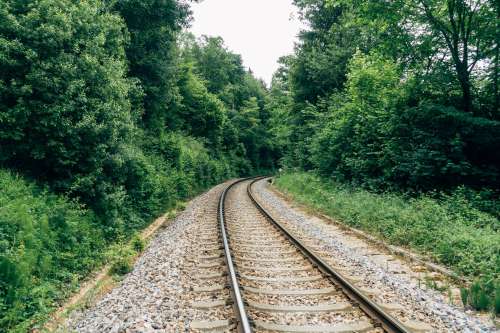 Empty Rail Track Surrounded By Trees Photo