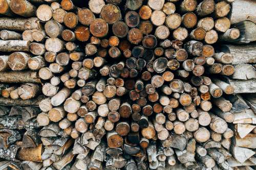 Logs Of All Shapes And Sizes Photo