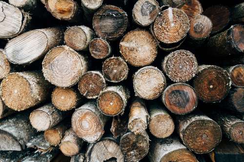 Weathered Logs Piled High Photo