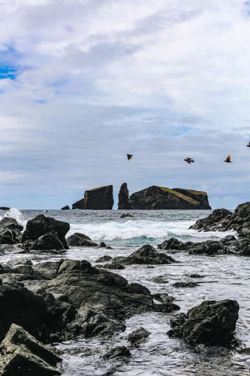 Rocky Shores With Birds Flying By Photo