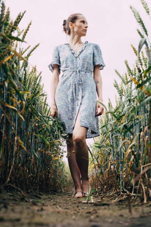 Girl standing in a triticale field