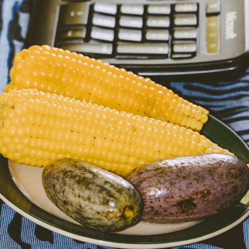 corn, food, corncob, vegetable, diet, maize, nutrition, cooking, agriculture, nature, cereal