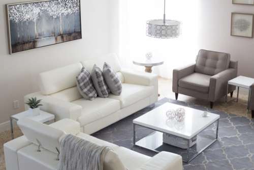 Interior Design Furniture Free Photo