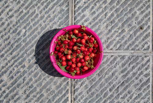 Pink Bowl Of Cherries On The Ground Photo