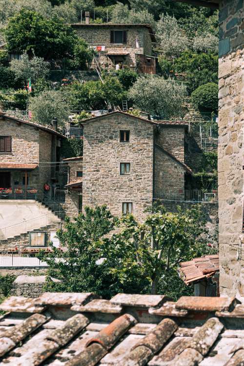 Trees And Stone Buildings On Hillside Photo