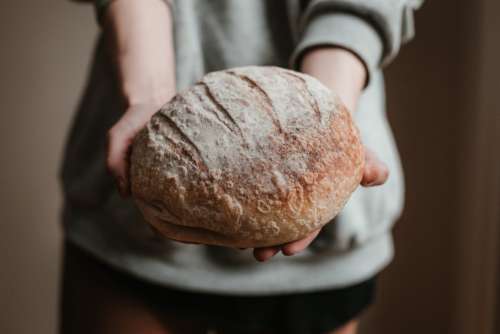 Freshly Baked Bread In Hands Photo