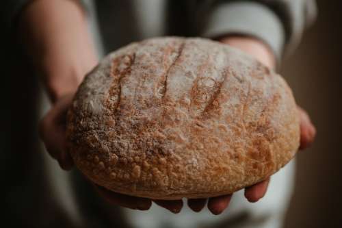 Close Up Of Fresh Bread Photo