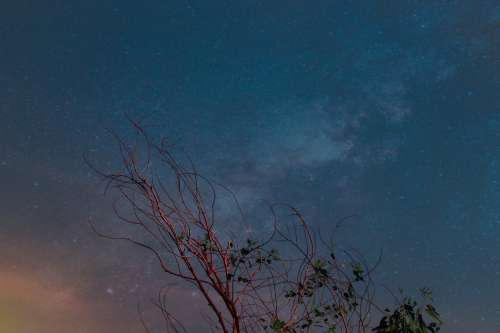 Night Sky Over Red Trees In Setting Sun Photo