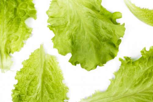 Delicious salad - lettuce leaves