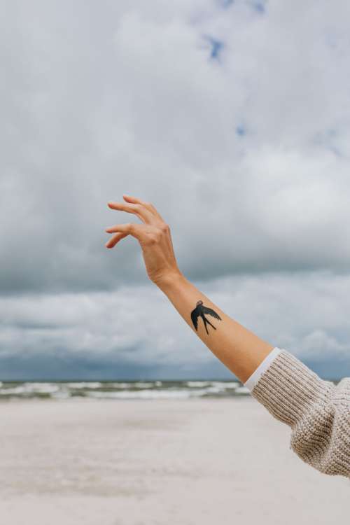 A woman's hands with a swallow tattoo raised to the sky