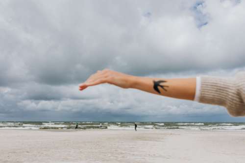 A woman's hands with a swallow tattoo raised to the sky