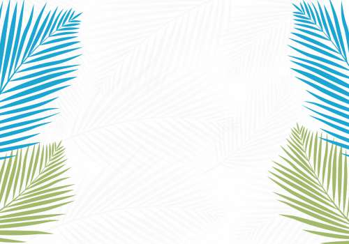 Tropical Palm Leaves Background