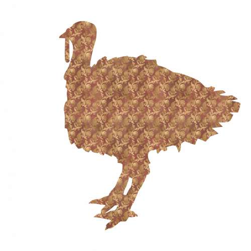 Thanksgiving Turkey Illustration