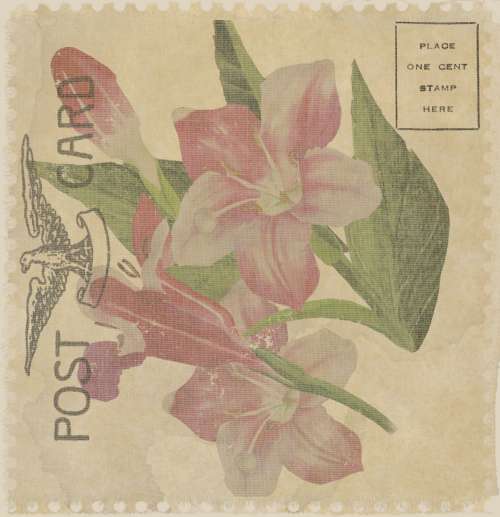 Vintage Floral Postcard
