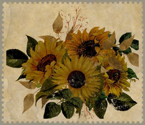 Vintage Sunflower Stamp