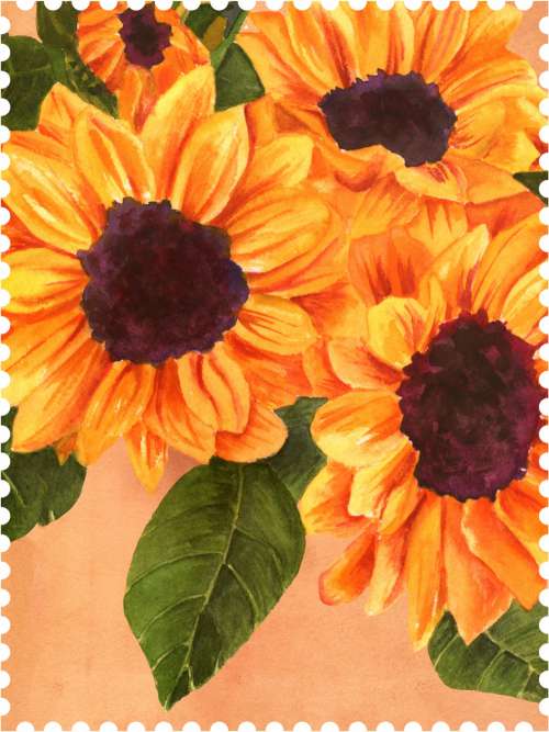 Sunflower Stamp Poster