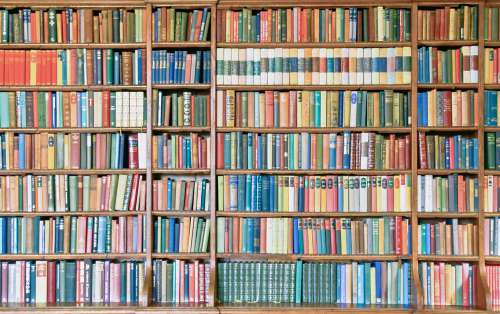 Bookshelf filled with colorful books