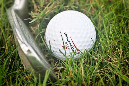 Golf Ball With Club And Grass