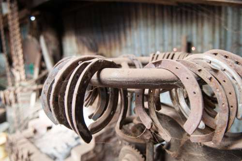Many Old Horse Shoes In Workshop
