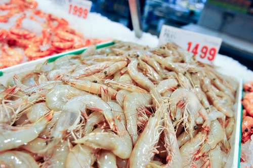 Fresh Shrimp For Sale At A Fish Market