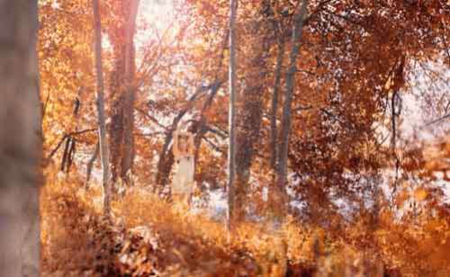 Girl Dancing Alone In An Autumn Fall Forest