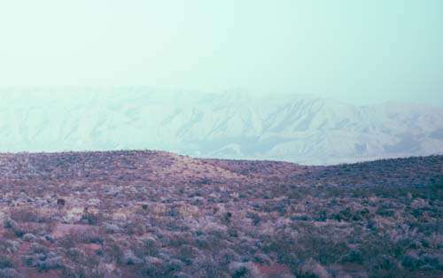 Red Desert Sand With Bushes And Mountains