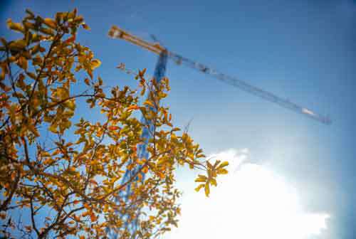 Autumn Tree With Industrial Crane In Background