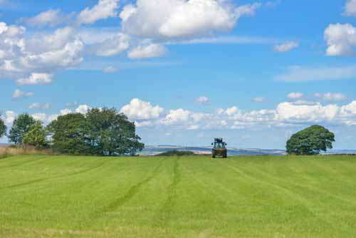 Tractor In Large Green Field Landscape