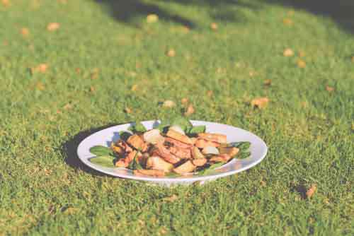 Vegetables and Salad On White Plate On Grass