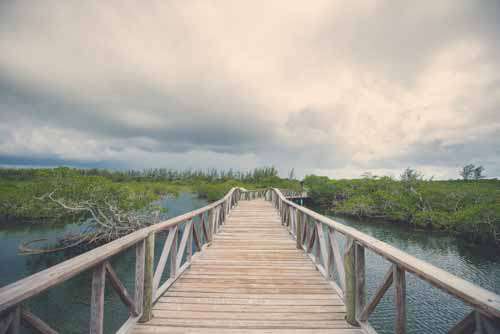 Boardwalk Path Over Water With Moody Skies