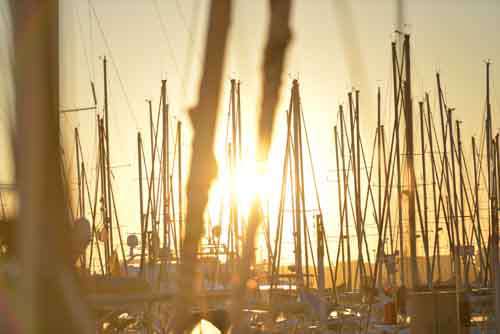 Many Sailing Masts In Marina At Sunrise