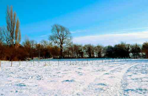 Farm Field Covered In Snow With Clear Blue Sky