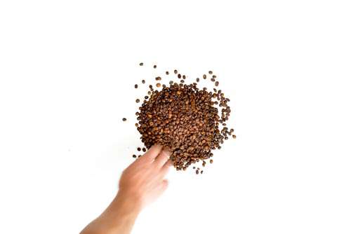 Hand Taking From Pile Of Roasted Coffee Beans
