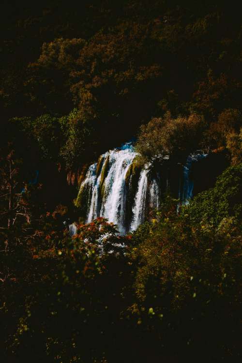 Waterfall Amongst The Forest Photo