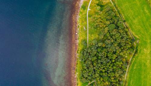Aerial View Of Treeline By Lake Photo