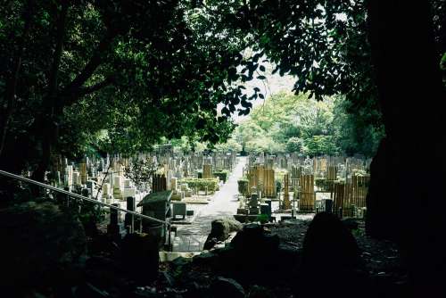Sunlight Illuminating Japanese Cemetery Photo