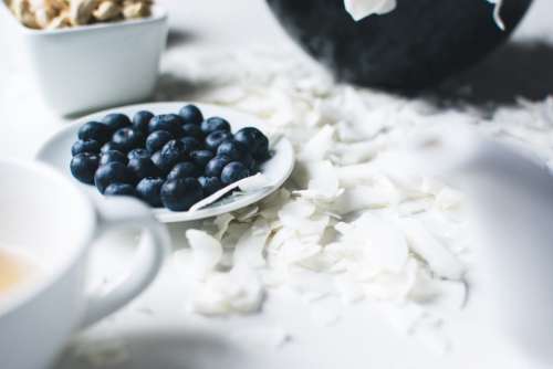 Blueberries on coconut flakes
