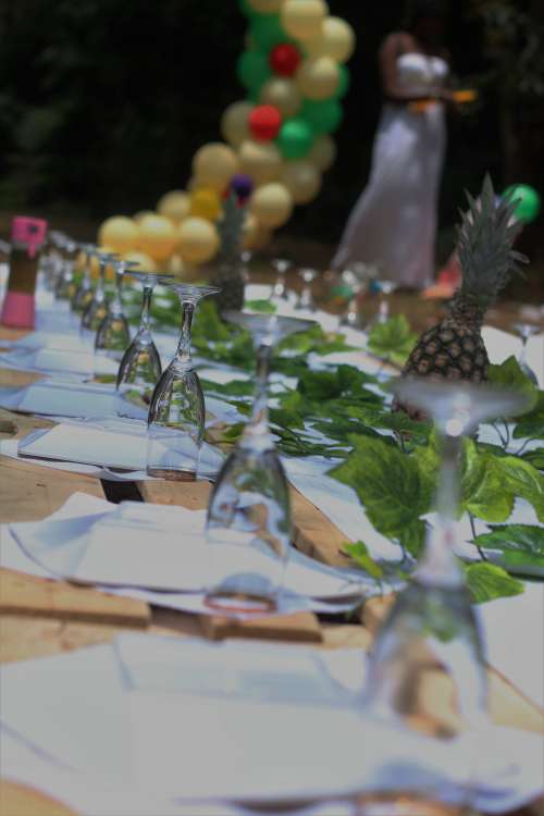 picnic, glass, flowers, table, garden, balloons, party, lunch