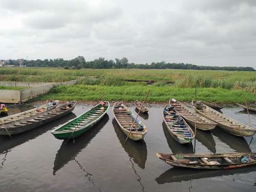 water, river, lakeside, canoe, small boats, grass, undergrowth, nature, environment, paddle, landscape