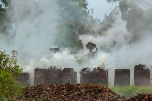 people, women, coconut oil factory, coconut oil preparation, forest, tanks, smoke